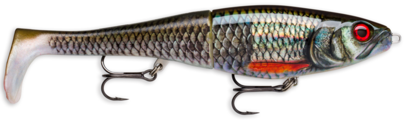 RAPALA X-RAP PETO  Live Roach