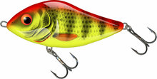 Salmo SD12S BRIGHT PERCH